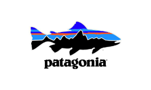 fotos_categorias